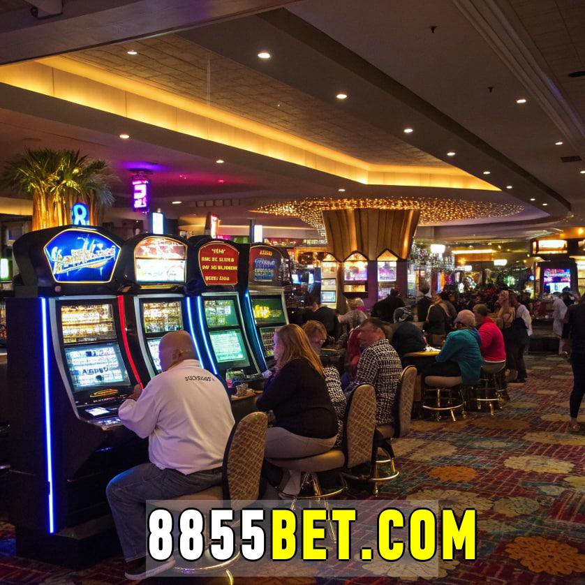 8855bet