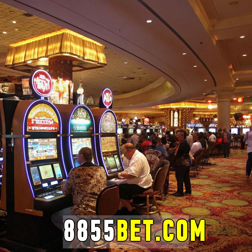 8855bet com